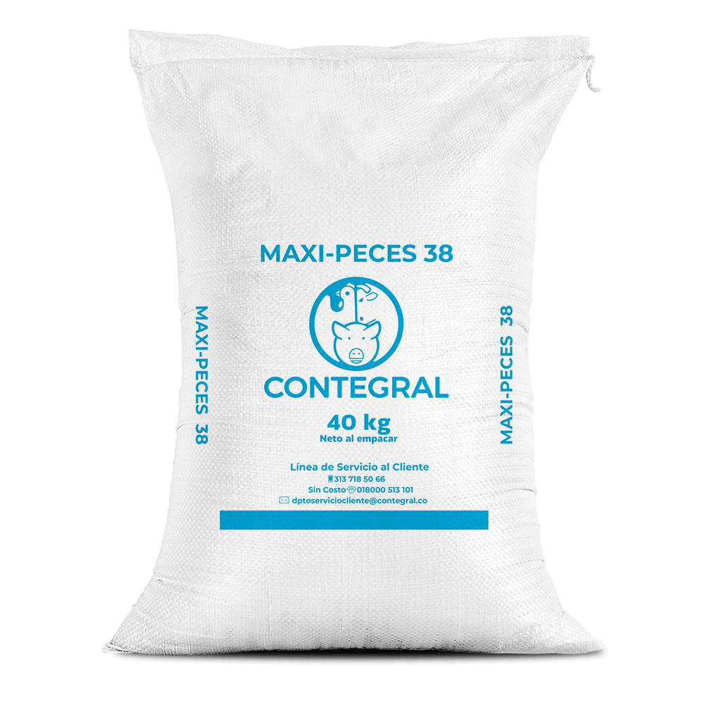 Maxi-Peces 38